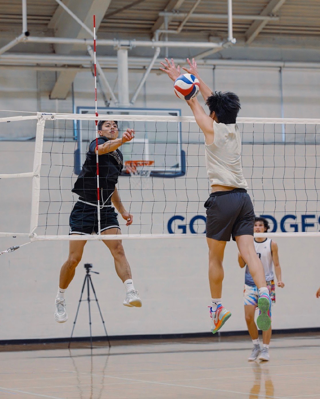 Volleyball Gallery