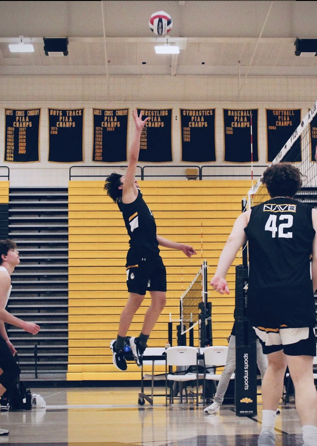 Volleyball Gallery