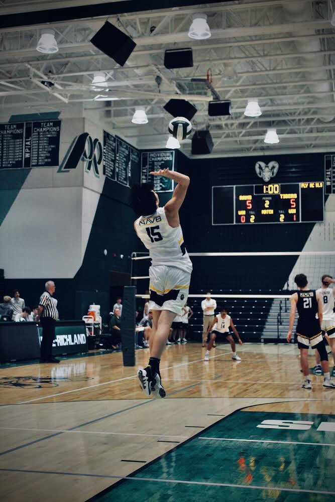 Volleyball Gallery