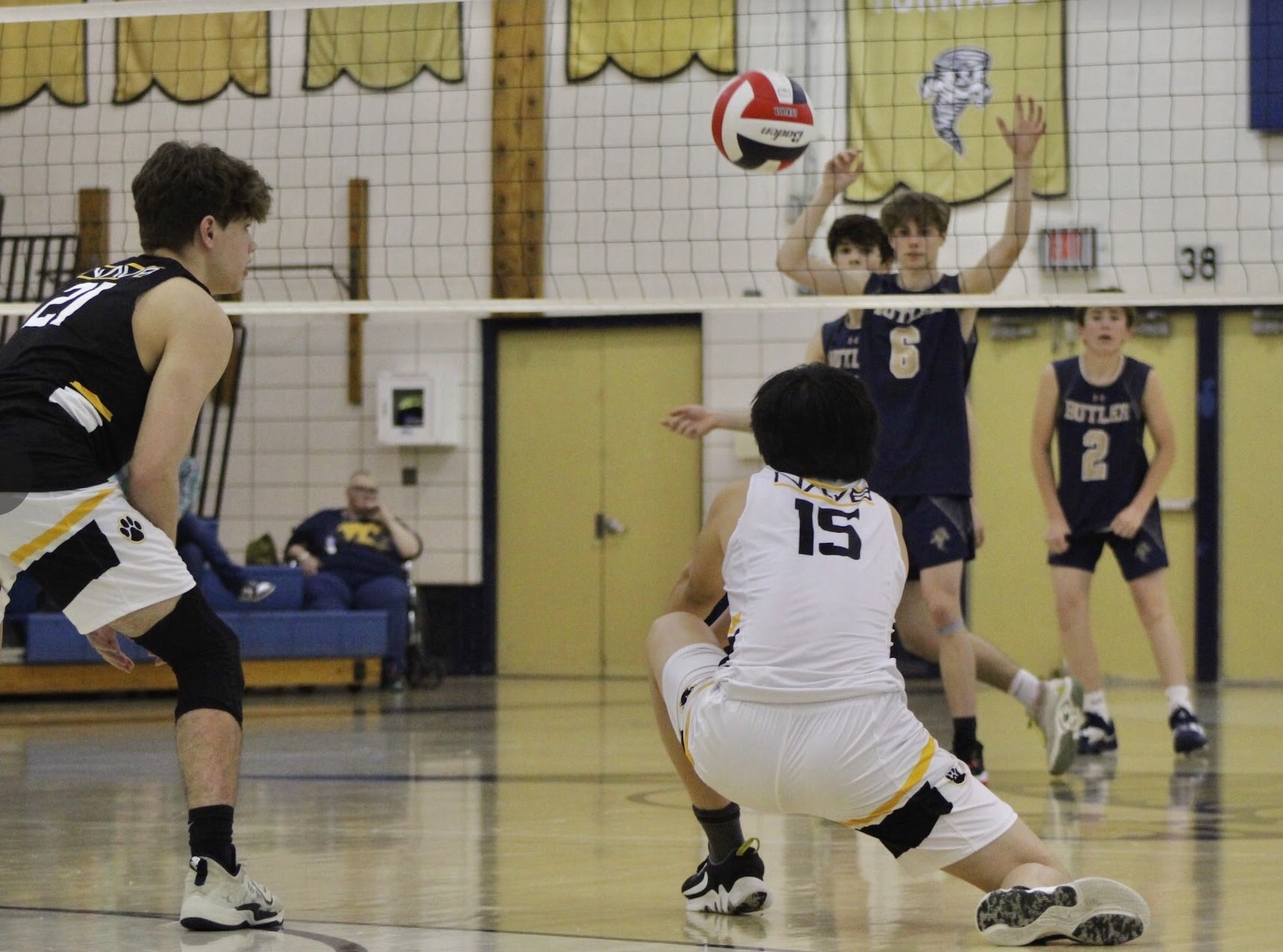 Volleyball Gallery